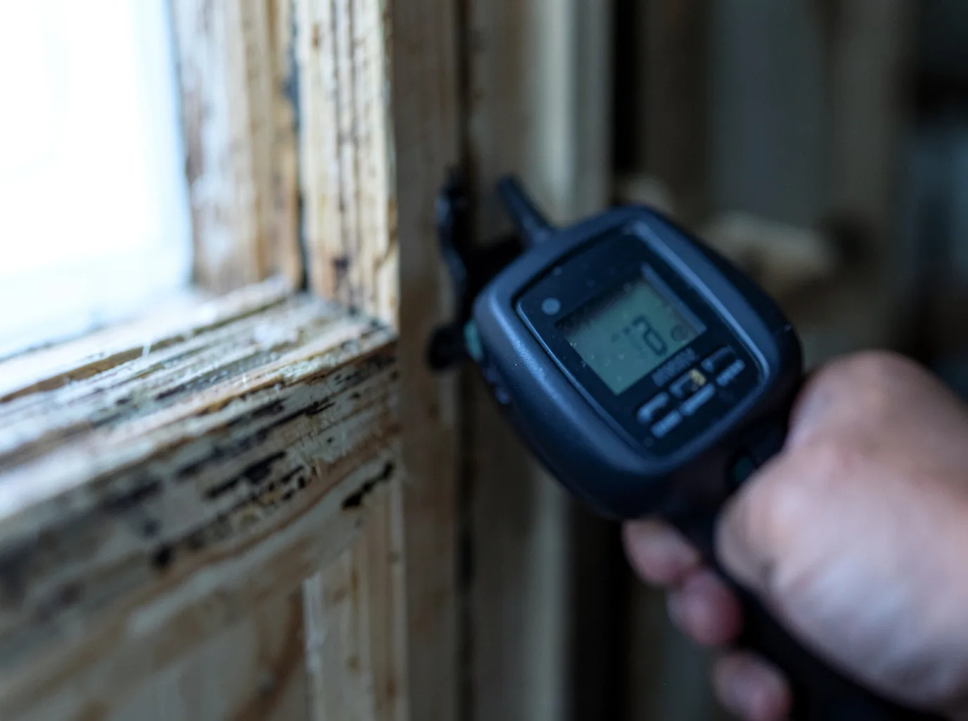 Water Damage Restoration Palm Harbor, FL FAQs